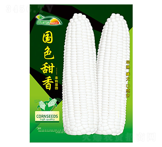 玉米種子-國色甜香-科星