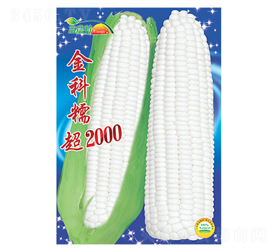 玉米種子-金科糯超2000-科星