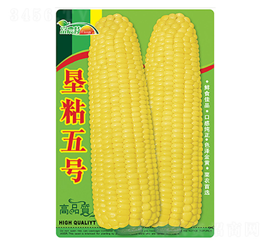 玉米種子-墾粘五號-科星
