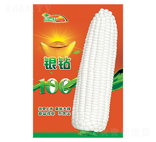 玉米種子-銀鉆-科星