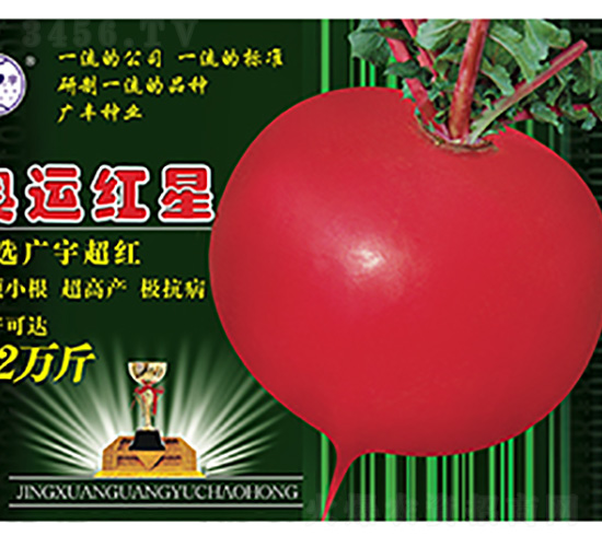 �}���N��-�W�\�t��-����