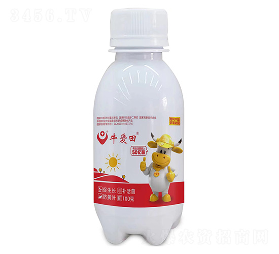 100��ţ����-��������