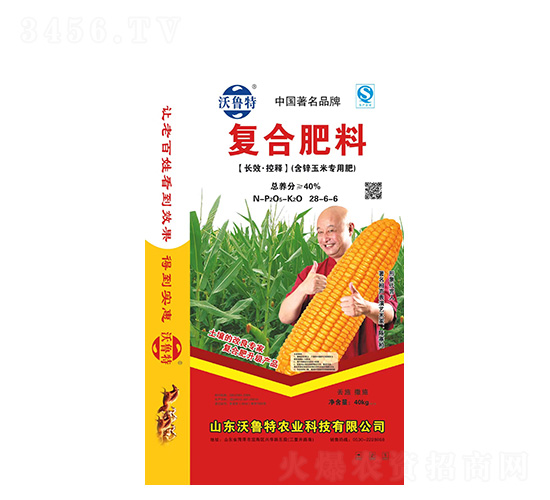 ��(f��)�Ϸ���(���\���׌��÷�)28-6-6-������