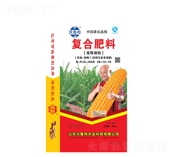 �ͺϷ���(���\���׌��÷�)28-13-10-������