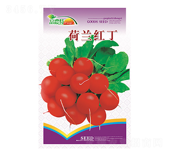 蘿卜種子-荷蘭紅丁-科星