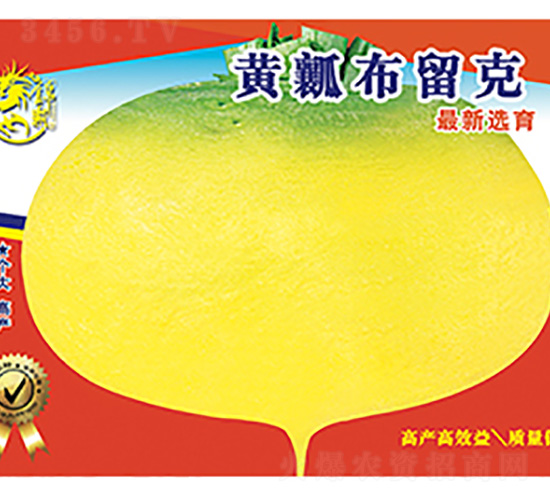 蘿卜種子-黃瓤布留克-科星