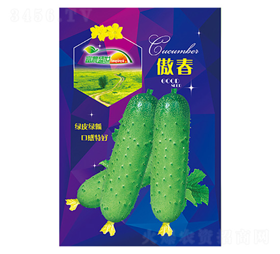 黃瓜種子-傲春-科星