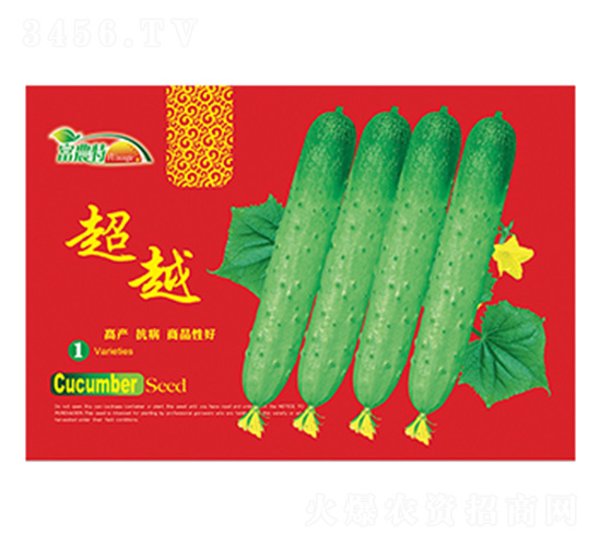 黃瓜種子-超越-科星