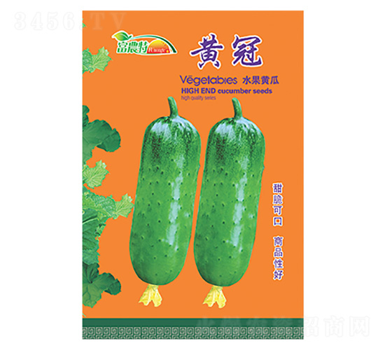 水果黃瓜-黃冠-科星