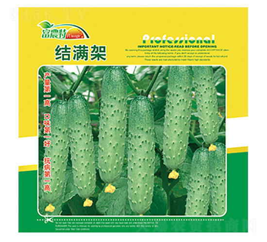 黃瓜種子-結(jié)滿架-科星