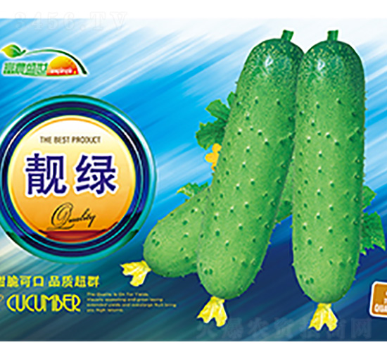 �S�ϷN��-�n�G-����