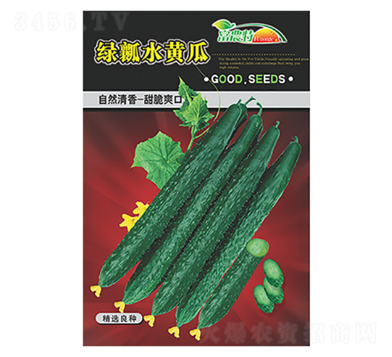 綠瓤水黃瓜-科星