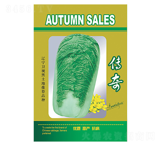 白菜種子-傳奇-科星