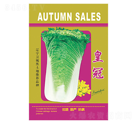 白菜種子-皇冠-科星