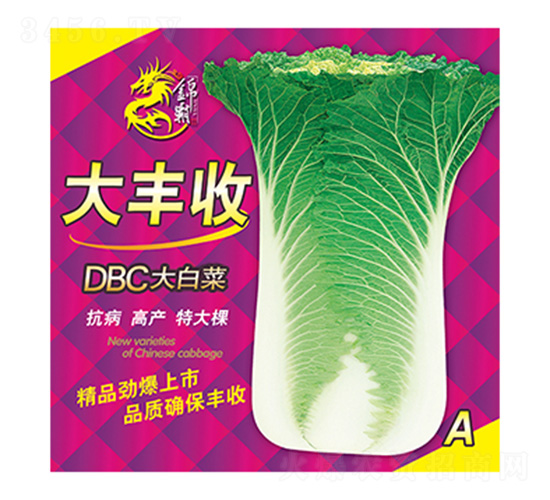 DBC��ײ�-���S��A-����