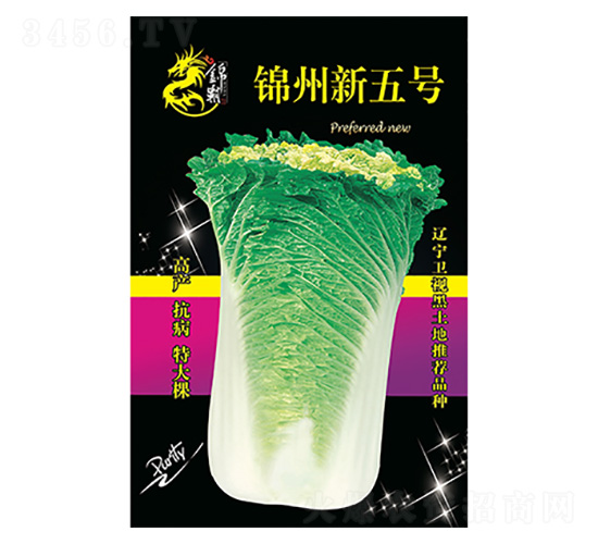 �ײ˷N��-�\������̖-����