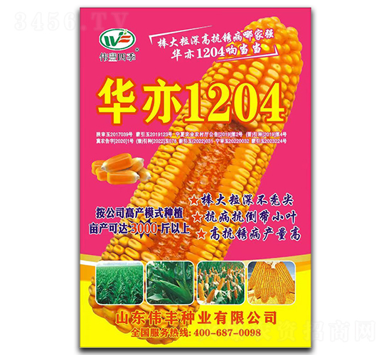 華亦1204-玉米種子-偉豐種業(yè)