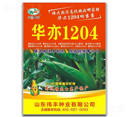 華亦1204玉米種子-偉豐種業(yè)