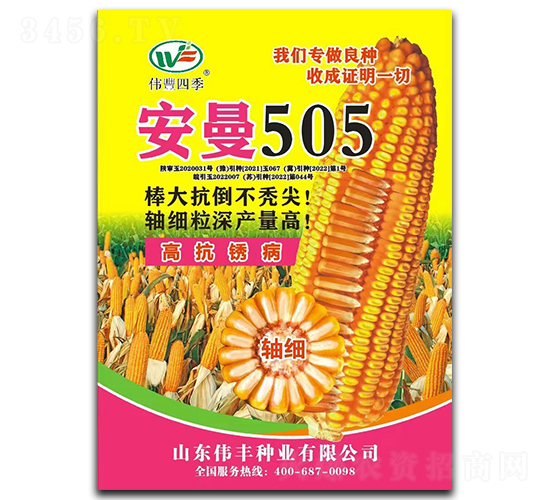 安曼505-玉米種子-偉豐種業(yè)