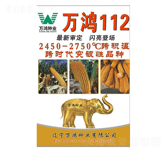 玉米種子-萬鴻112-萬鴻種業(yè)