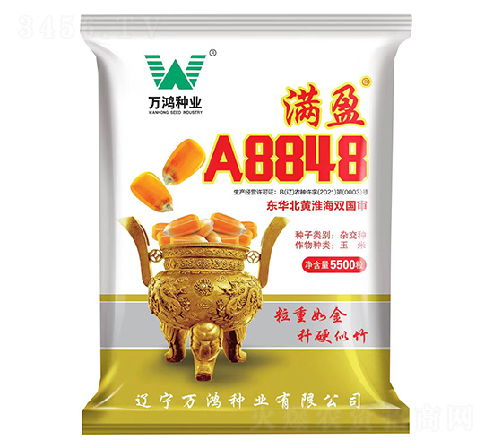 玉米種子-滿盈A8848-萬鴻種業(yè)