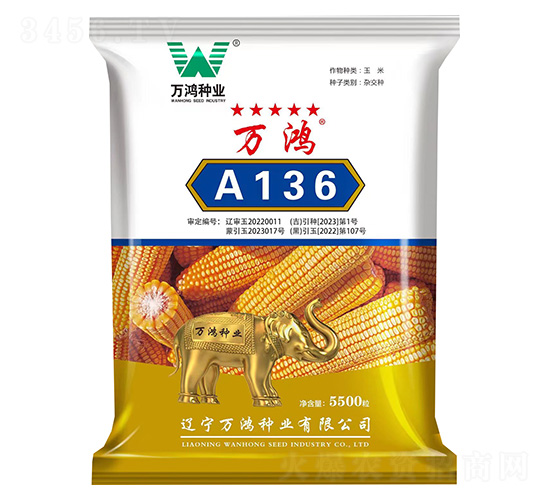 玉米種子-萬鴻A136-萬鴻種業(yè)