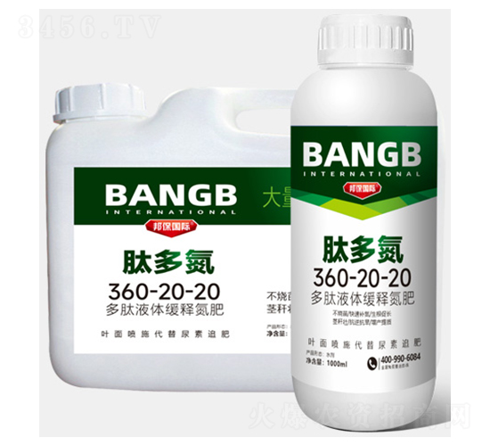 �Ķ൪360-20-20-��ʘI(y��)