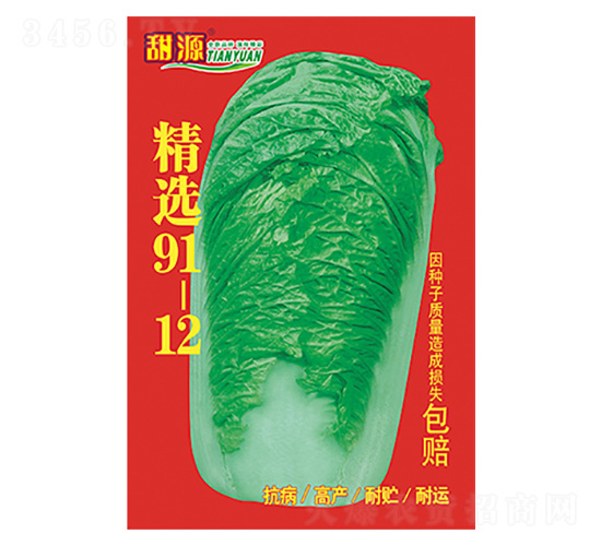 �ײ˷N��-���x91-12-����