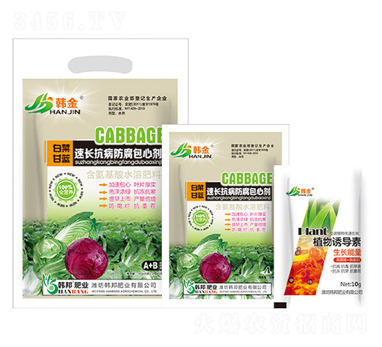 �ײ˸��{(l��n)���L(zh��ng)�����������Ą�-�n��-�n��ʘI(y��)