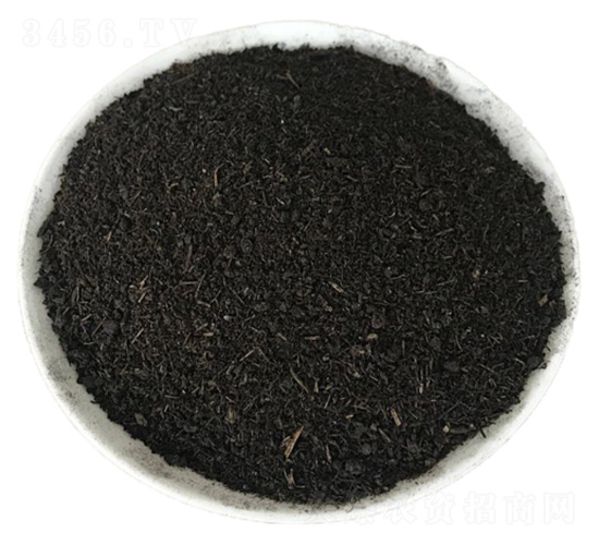 �F�������ЙC��-�����ʘI(y��)