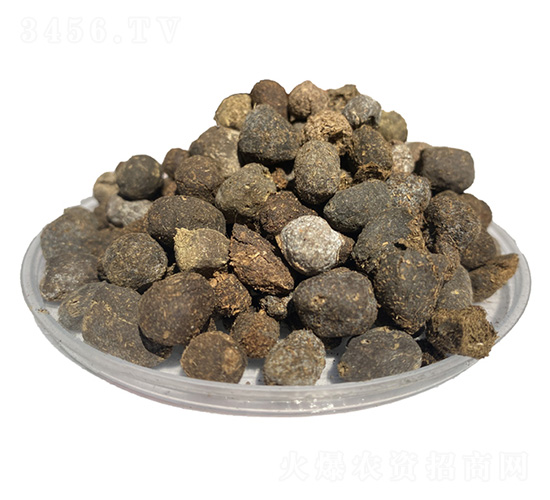 �F�ݾ���-�����ʘI(y��)