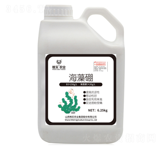 ������-Ψ��