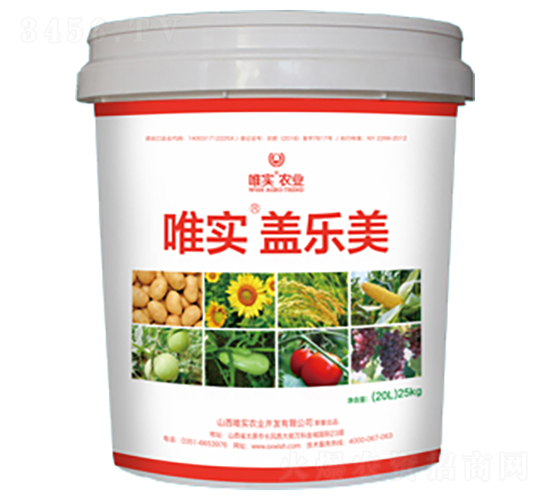 唯實(shí)·蓋樂(lè)美