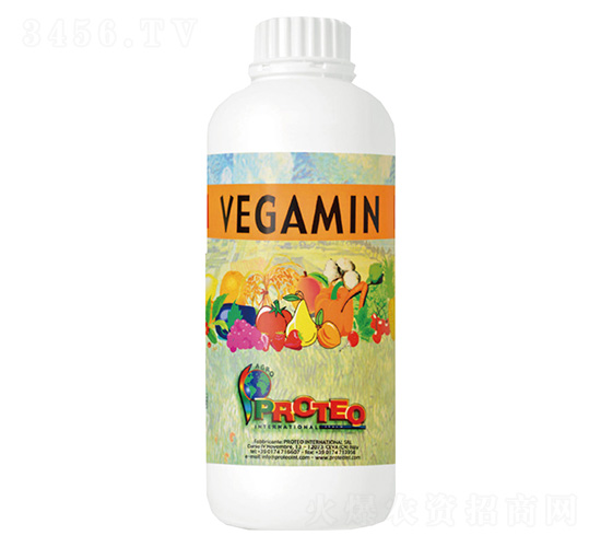 維甘安-普羅蒂歐