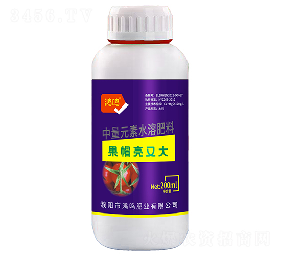 ��ñ���ִ�-���Q