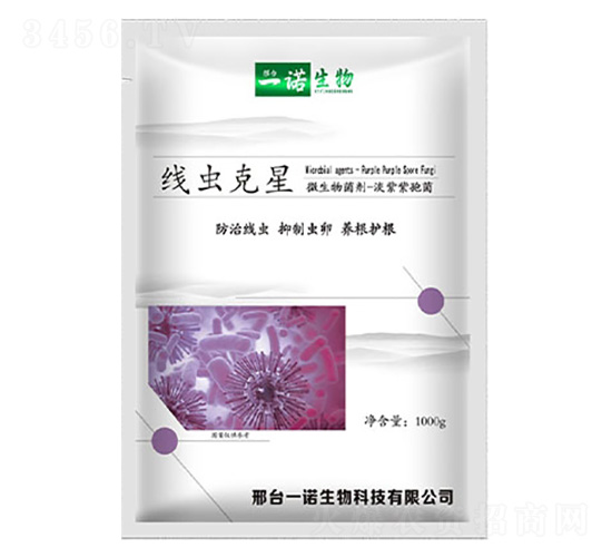 ���x����΢�������-���Z����