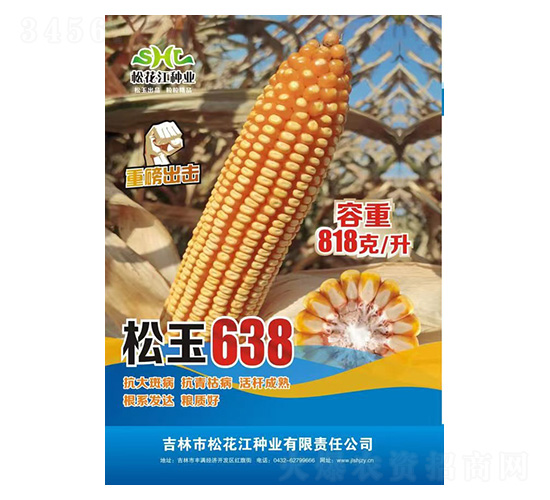 玉米種子-松王638-久翔農(nóng)業(yè)