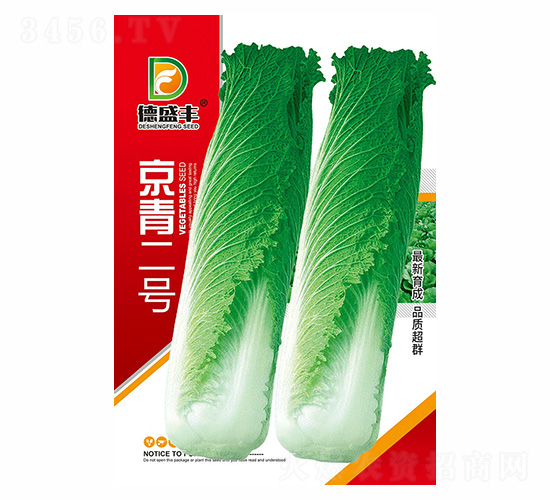 �����̖-��ʢ�S