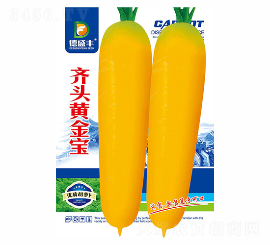 齊頭黃金寶-德盛豐