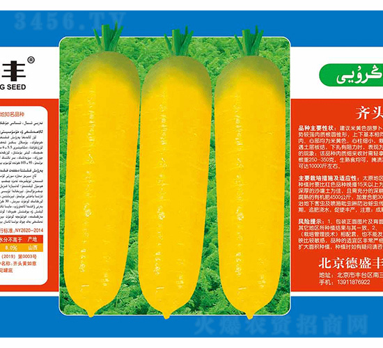 �R�^�S����-��ʢ�S