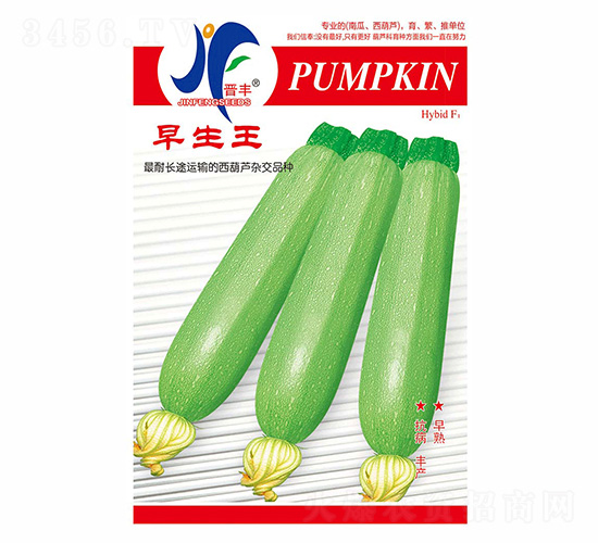 ������-�x�S-��ʢ�S