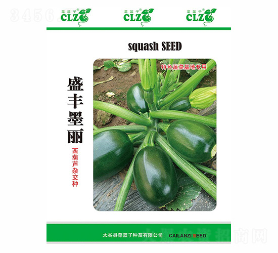 ʢ�Sī��-��ʢ�S