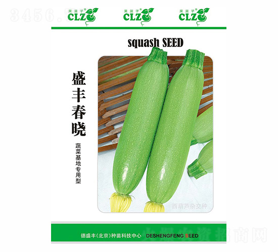 ʢ�S����-��ʢ�S