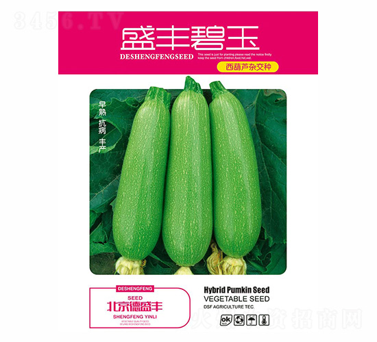 ʢ�S����-��ʢ�S