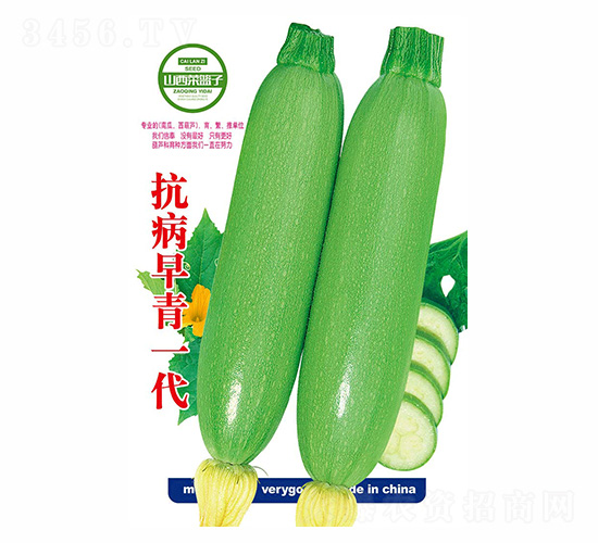 ��������һ��-��ʢ�S