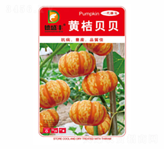 �S��ؐؐ-��ʢ�S