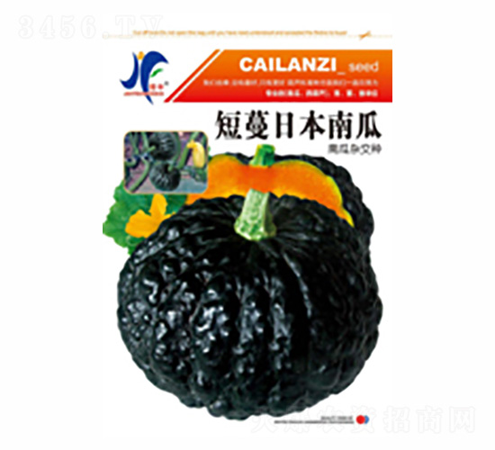 �����ձ��Ϲ�-�x�S-��ʢ�S