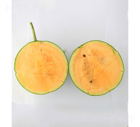 依農(nóng)精品2號(hào)-西瓜種子-依農(nóng)農(nóng)業(yè)