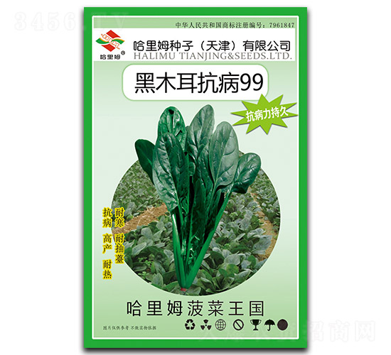 哈里姆黑木耳抗病99-菠菜種子-哈里姆