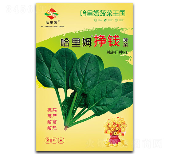 哈里姆掙錢菠菜-菠菜種子-哈里姆